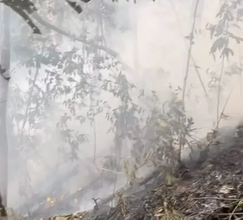 VÍDEO: Incêndio atinge Parque Nacional da Serra do Divisor e destrói grande parte da floresta