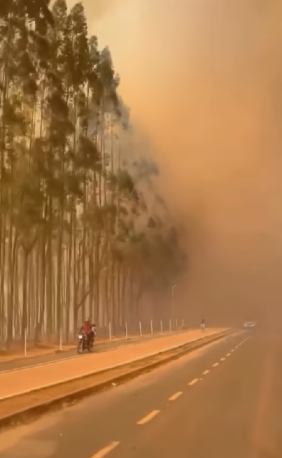 VÍDEO: incêndio atinge plantação e fumaça ‘cobre’ cidade no MT