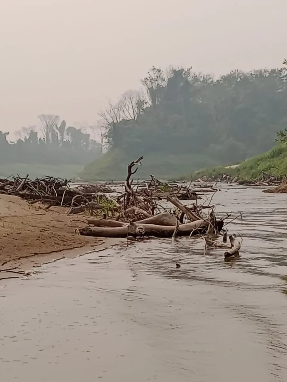 Situação da seca piora e nível do Rio Iaco baixa para 34 centímetros no interior