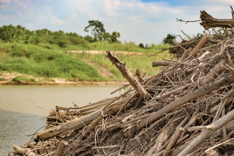 Rio Juruá tem dois pontos de monitoramento em alerta máximo e afeta cidades do Acre