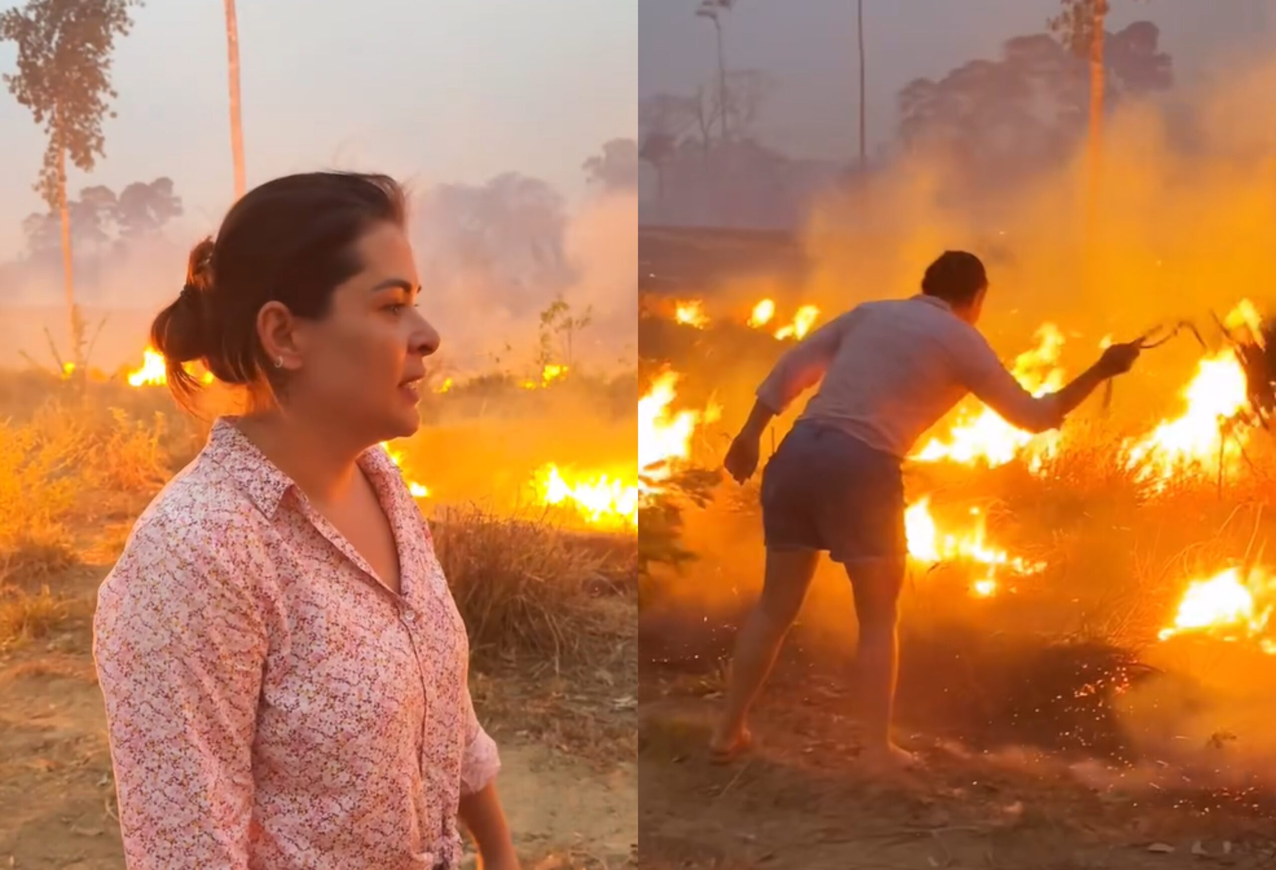 Incêndio criminoso destrói fazenda da família de secretária: "30 anos de trabalho" Incêndio criminoso destrói fazenda da família de secretária: “30 anos de trabalho”