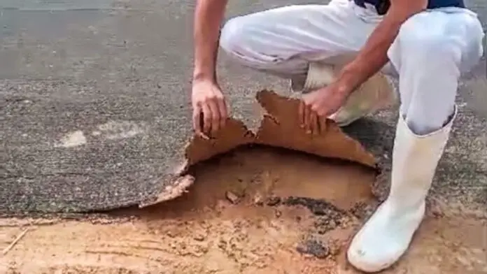 Asfalto de papel? Morador mostra espessura de rua feita por prefeitura e vídeo viraliza