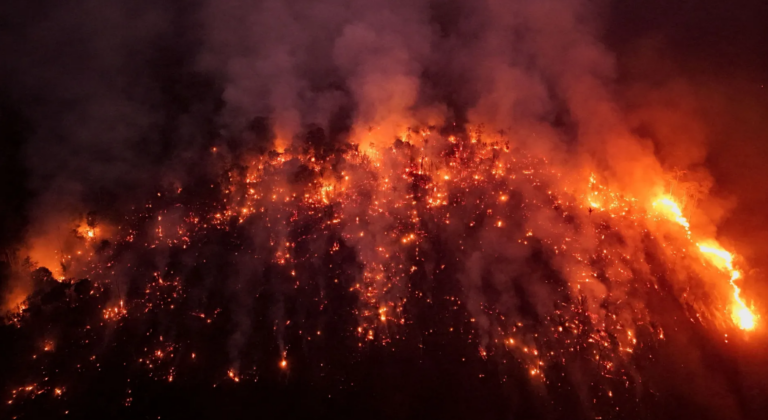 Queimadas ameaçam o Acre e trazem impactos devastadores para a fauna e humanidade