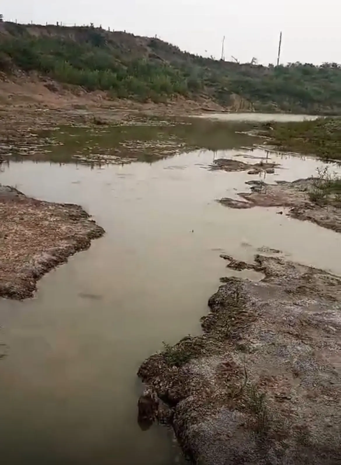 “Assombrado”: morador mostra rio completamente seco no interior do Acre e imagens impressionam