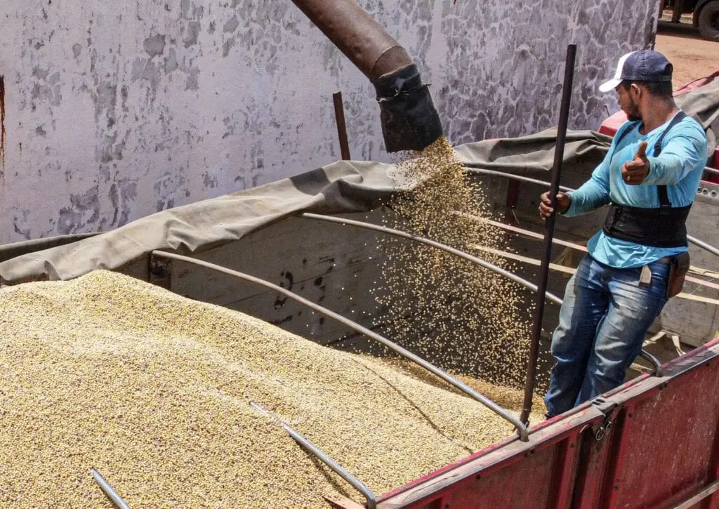 Valor da produção no Acre cresce quase 10% e ultrapassa os R$ 700 milhões, diz IBGE