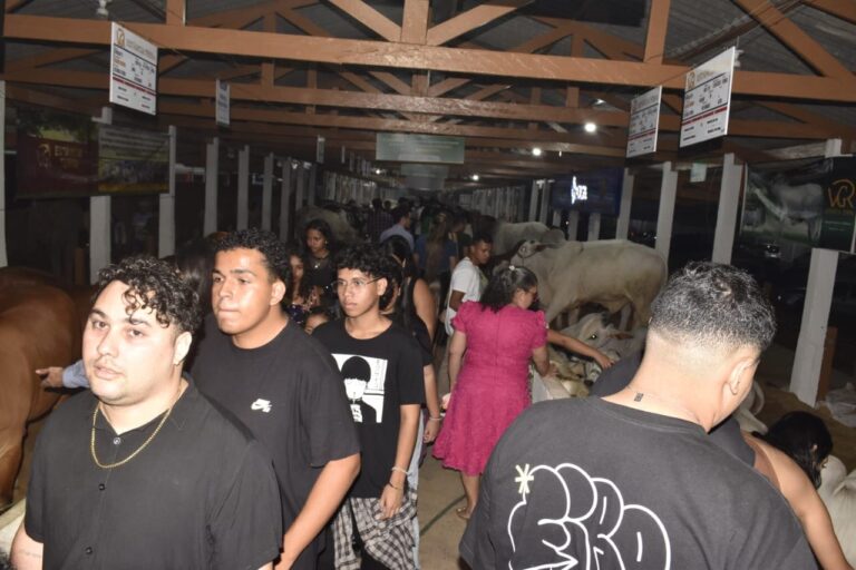 Exposição de touros de elite chama a atenção na Expoacre