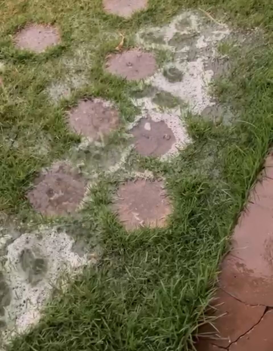 Chuva com espuma branca é registrada em residências da capital: "Parece um componente químico" Chuva com espuma branca é registrada em residências da capital: “Parece um componente químico”