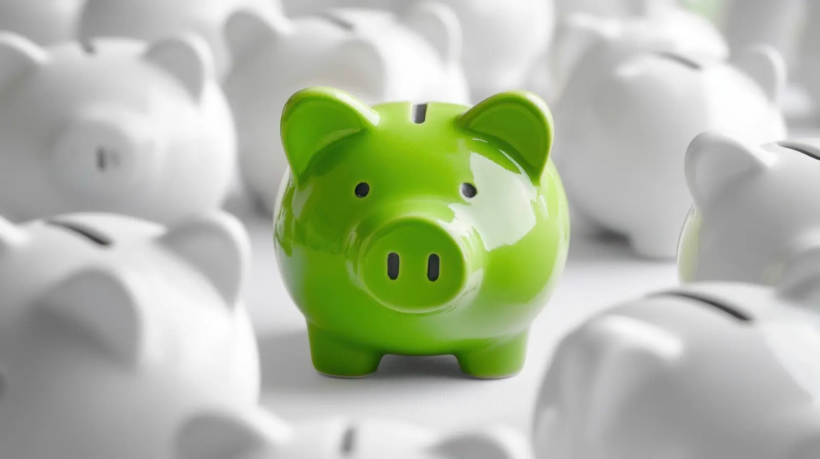 Dia Mundial da Poupança: Sicredi celebra a tradição de ser uma instituição que apoia a estabilidade financeira