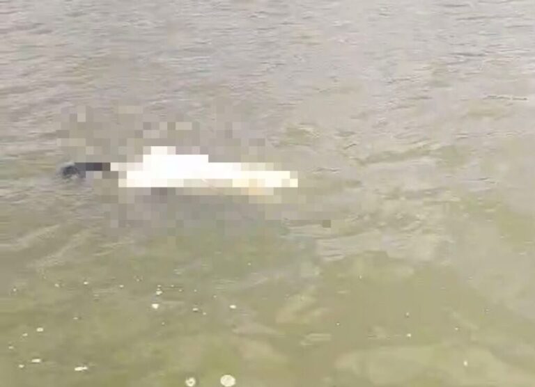 Corpo com marcas de perfuração encontrado em rio é identificado pela polícia