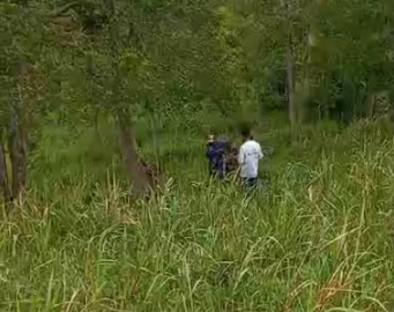 Após desaparecer, mulher é encontrada dentro de área de mata na BR-364