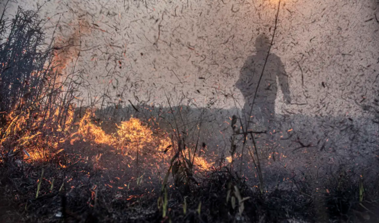 Focos de incêndios no Brasil já são 76% maiores que em 2023