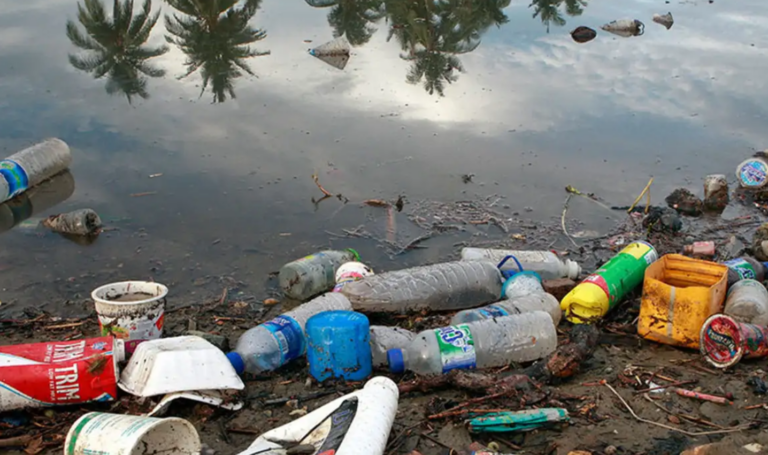 Brasil lança por ano 1,3 milhão de toneladas de plástico no oceano