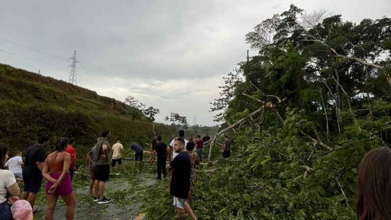 Forte temporal quebra árvores, interdita BR-364 e assusta moradores; VEJA FOTOS