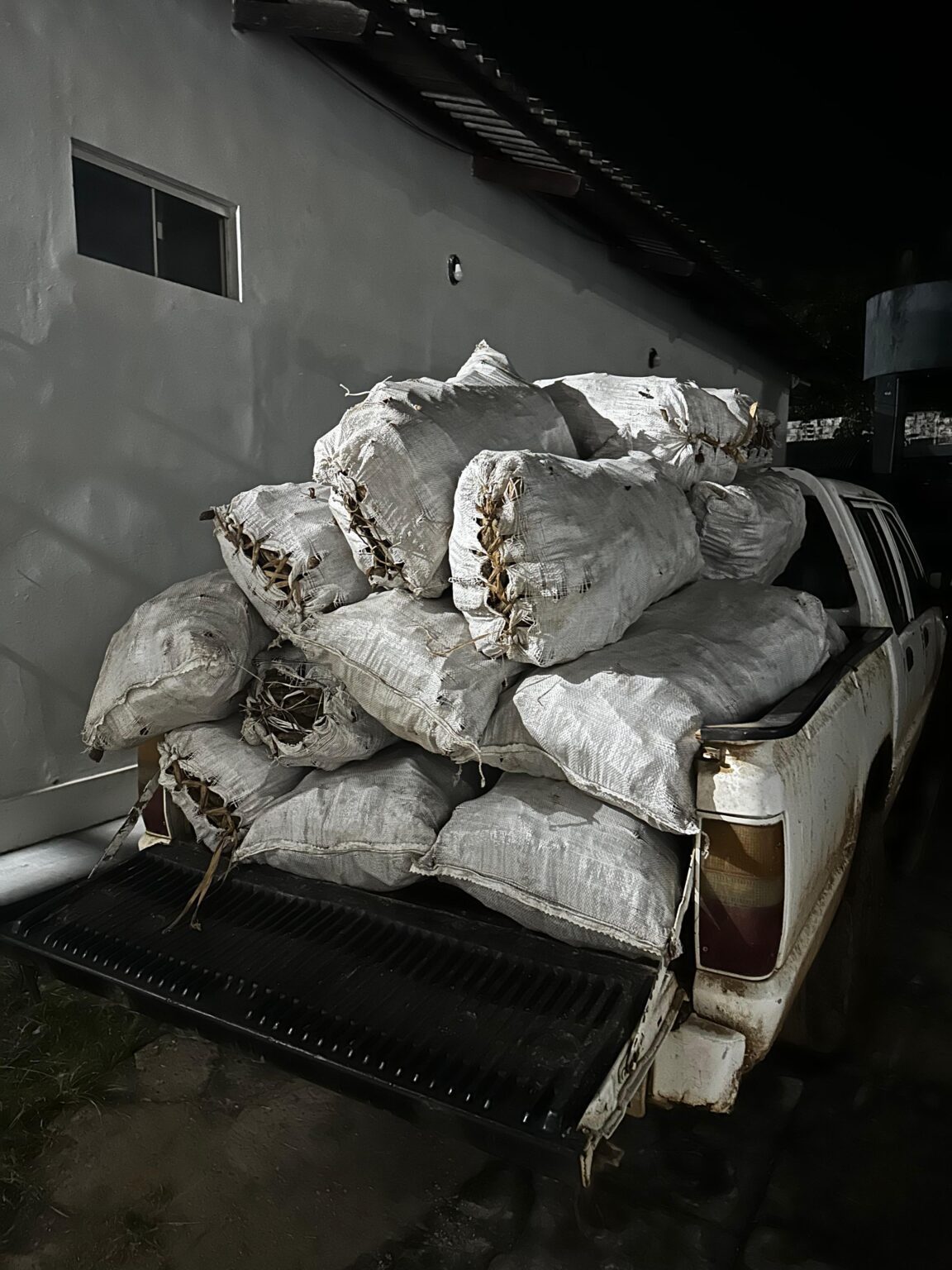 PM prende homem com 50 sacas de cipó, utilizado na produção de ayahuasca no Acre