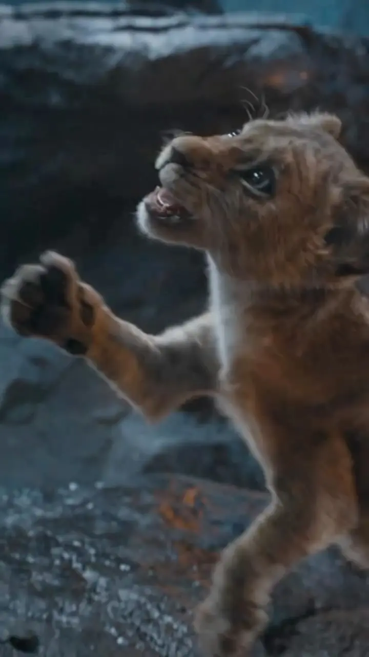 “Mufasa: O Rei Leão”, prelúdio do clássico da Disney, ganha novo trailer; assista