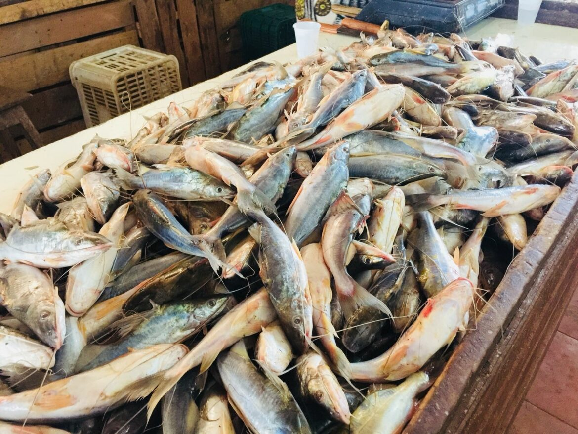 Com investimento de mais de R$ 1 mi, Gladson inaugura espaço para pescadores em Rio Branco