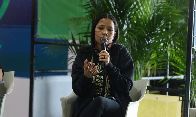 Líder indígena defende que transição ecológica só será completa com aumento na demarcação de terras