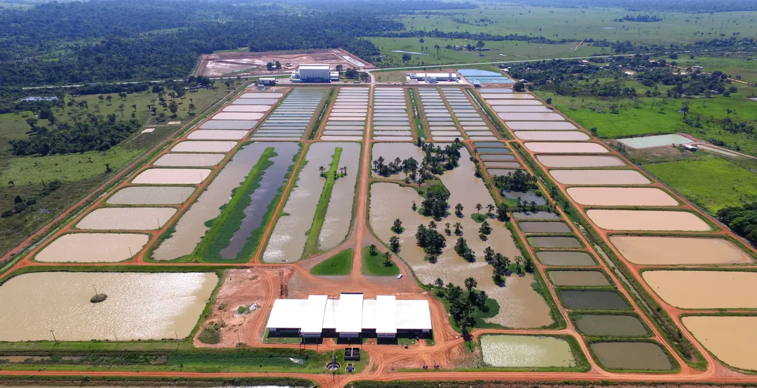 Qual é a empresa de SP que arrematou a Peixes da Amazônia por mais de R$ 13 milhões?