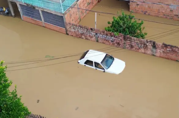 WhatsApp Image 2024-12-18 at 10.41.50 (1)