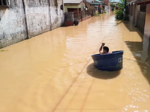 WhatsApp Image 2024-12-18 at 10.41.51