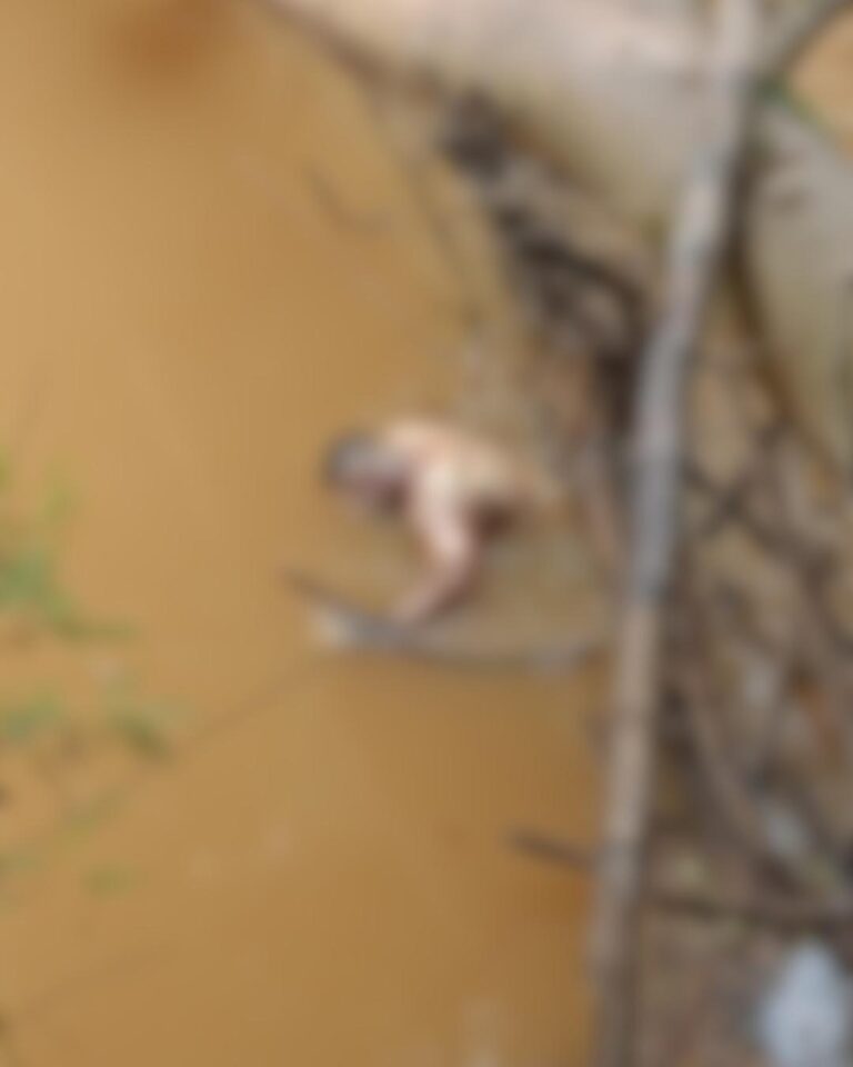 Jovem que estava desaparecido é encontrado morto em Igarapé de Rio Branco