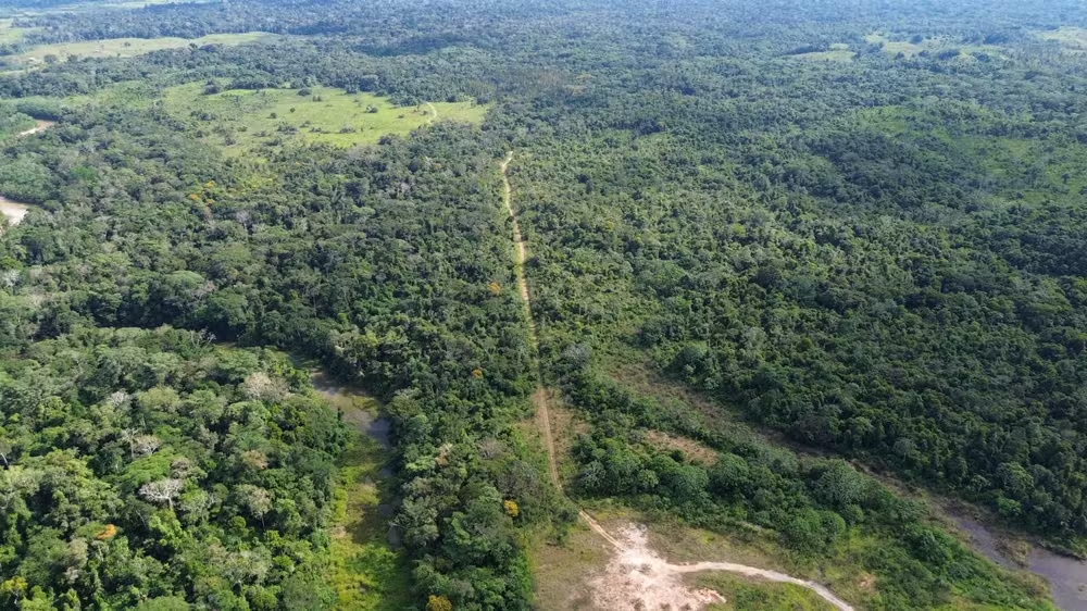 Partido Verde aciona STF contra leis ambientais e fundiárias aprovadas no Acre; entenda