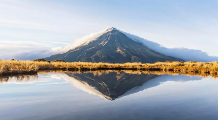 7 boas notícias para o planeta em 2024 que você pode ter perdido
