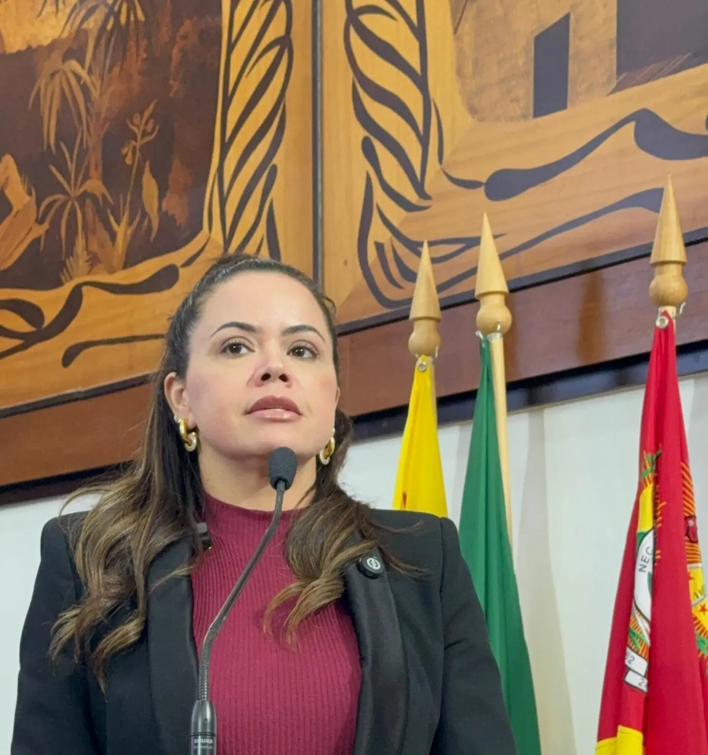Michelle Melo é a única deputada a votar contra orçamento de R$ 12,1 bilhões para 2025
