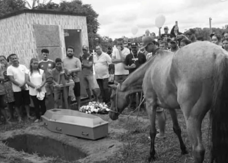Último adeus: égua de estimação acompanha enterro de jovem que morreu em acidente