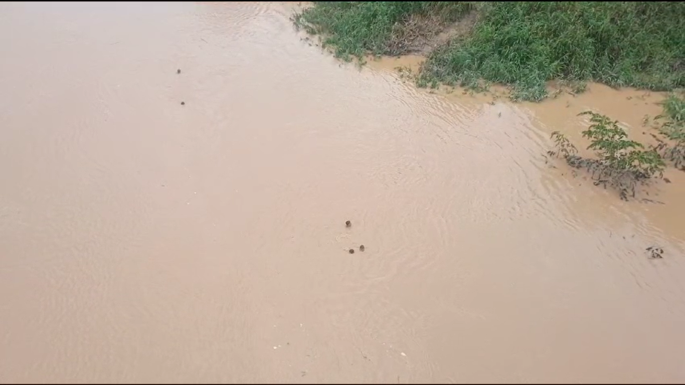 VÍDEO: crianças pequenas descem rio cheio nadando no interior do Acre; trecho é perigoso
