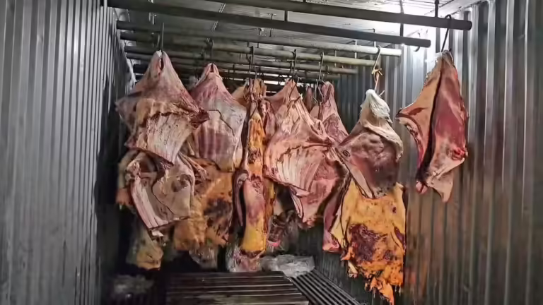 Empresa revendeu 800 toneladas de carne podre submersa na enchente de Porto Alegre; sócio é preso