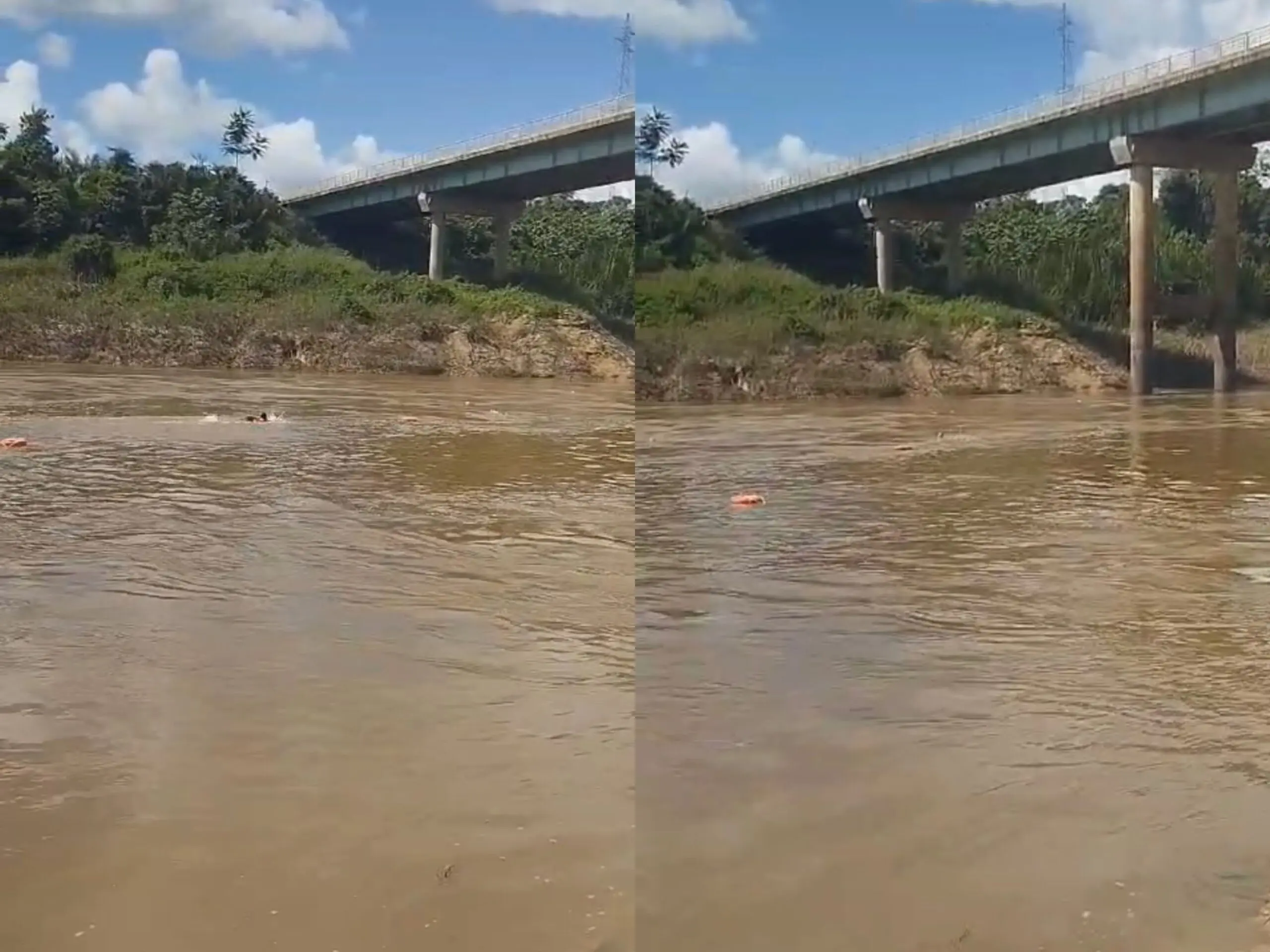 Vídeo mostra momento de pânico durante tentativa de salvamento de homem que caiu no Rio Caeté
