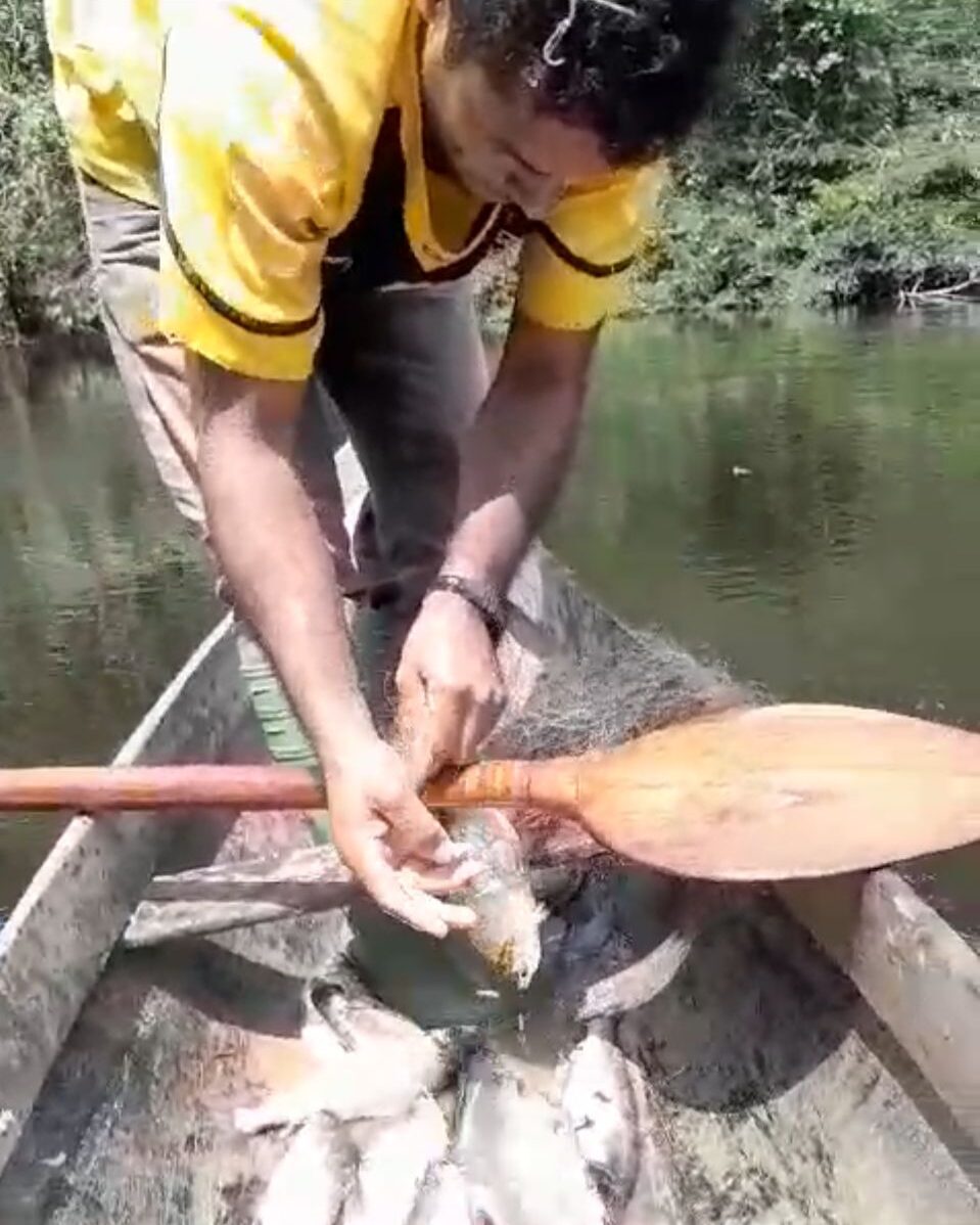 VÍDEO: pastor mostra fartura de branquinhas durante pescaria em lago de Sena Madureira