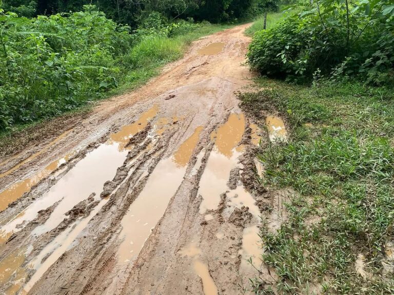 Caminho para o bloco de Veterinária na Ufac expõe abandono e dificuldades enfrentadas por estudantes