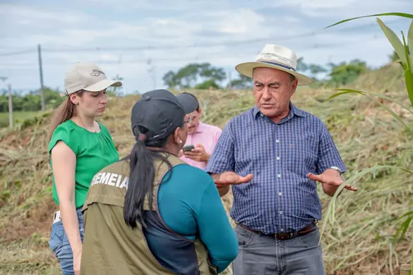 PLANTIO-ETA-IIVF-07.02-16