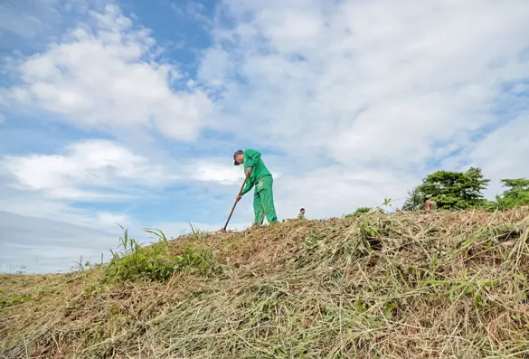 PLANTIO-ETA-IIVF-07.02-18