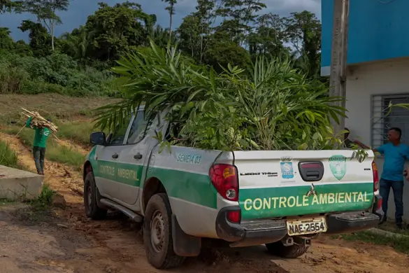 PLANTIO-ETA-IIVF-07.02-22