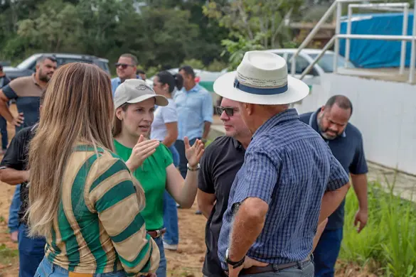 PLANTIO-ETA-IIVF-07.02-24