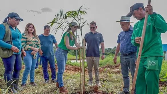 PLANTIO-ETA-IIVF-07.02-25-e1738947213251