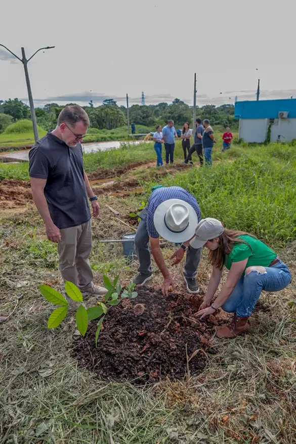 PLANTIO-ETA-IIVF-07.02-27