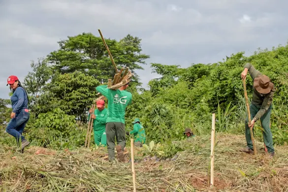 PLANTIO-ETA-IIVF-07.02-28