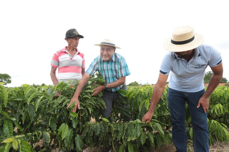 Bocalom visita plantio de café e diz que o cultivo é a saída para pequenos produtores