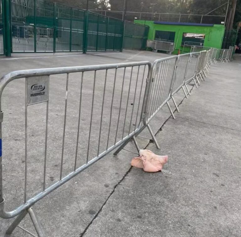 Cabeça de porco é colocada em acesso ao estádio do Palmeiras antes de Dérbi com o Corinthians