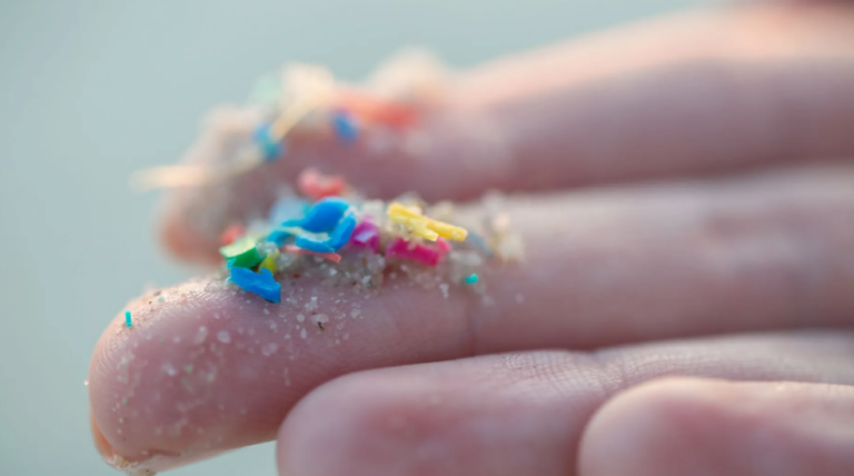 Quais são os possíveis efeitos dos microplásticos no cérebro?