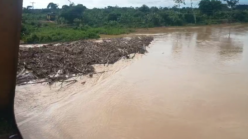 Balseiros se acumulam nos pilares da ponte de Sena; Dnit fará mutirão para retirada