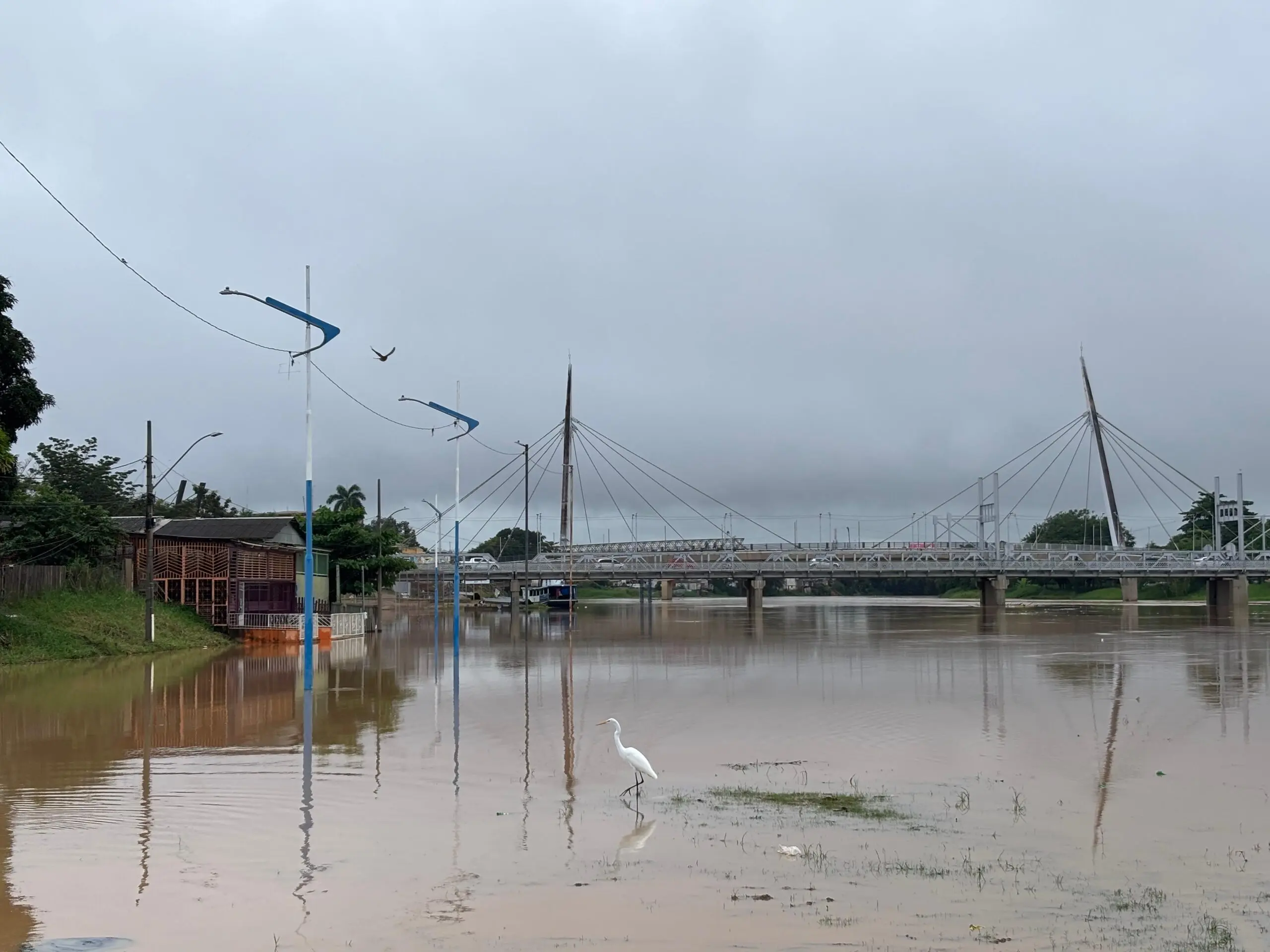 Defesa Civil diz que Rio Acre deve continuar vazando, mas enfrentará ‘repiquete’ nos próximos dias