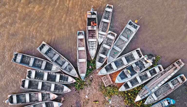 Com pouca chuva, seca severa deve assolar o Pantanal novamente em 2025