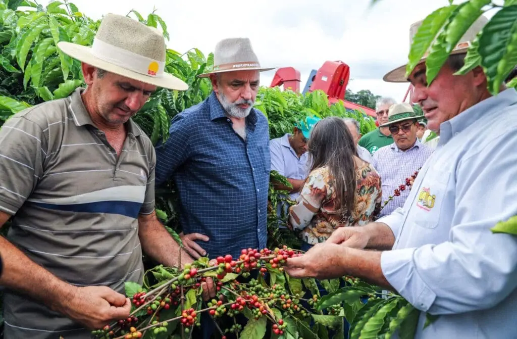 Produção de café do Acre ganha destaque na Folha de São Paulo: ‘Produtividade em meio à floresta’