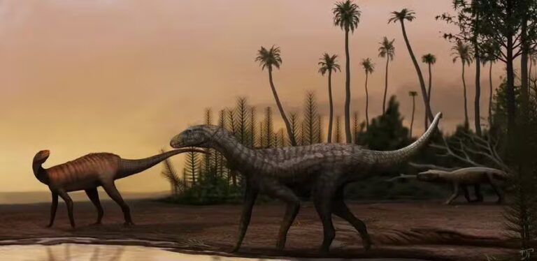 Fim dos dinossauros: extermínio foi causado por um asteroide? Novo estudo reacende debate