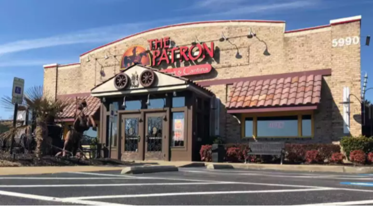 Cobra cai do teto e vai parar em bebida de cliente em restaurante